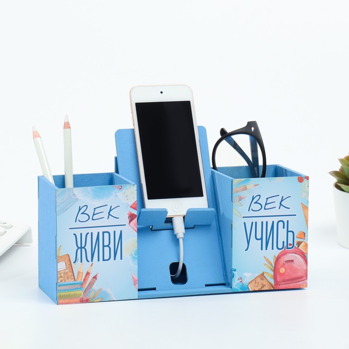 Органайзер для канцелярии с подставкой под телефон «Век живи, век учись», 24×10×14 см